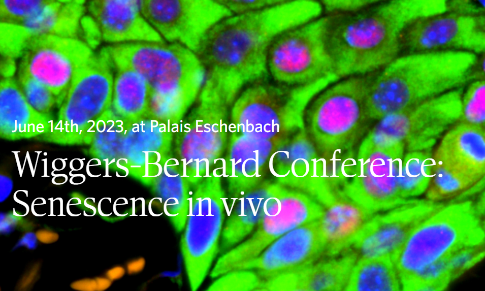 Deadline extended! - The Wiggers-Bernard Conference: Senescence in vivo