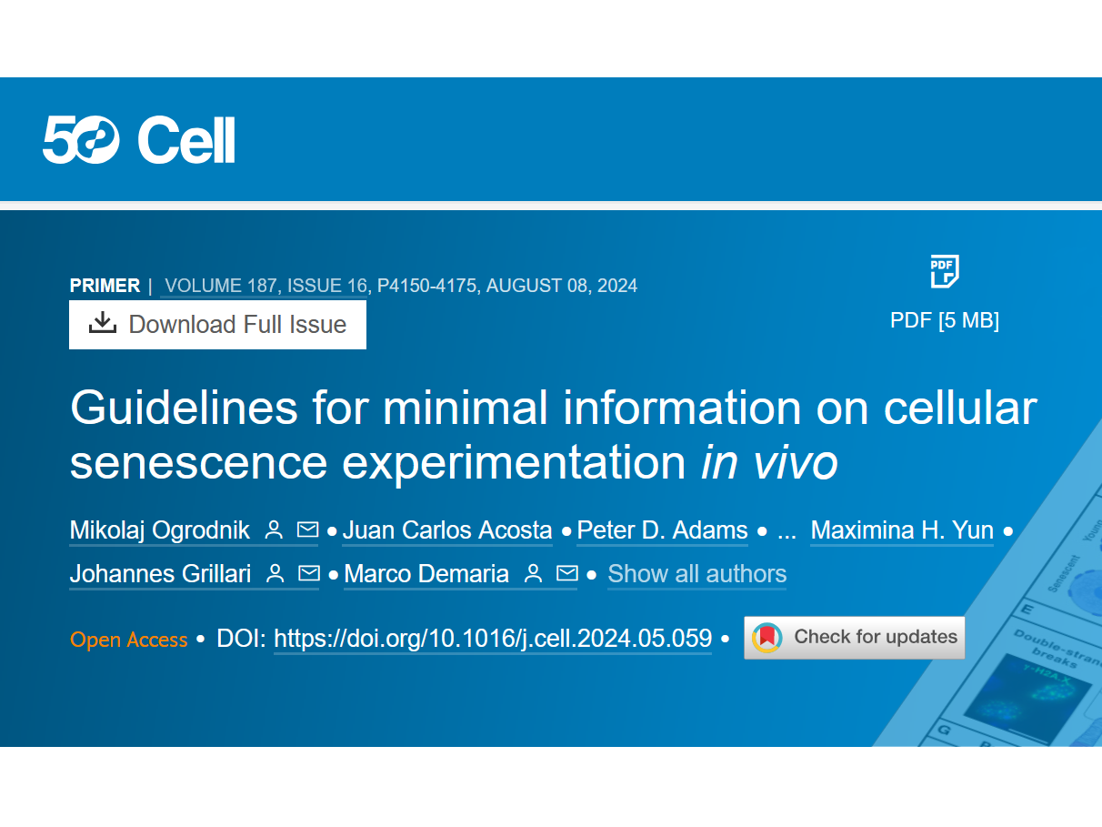 MICSE-Leitlinien in 'Cell' veröffentlicht: Ein universeller Werkzeugkasten für die Erforschung zellulärer Seneszenz in vivo